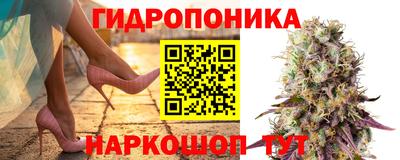 спиды Краснознаменск