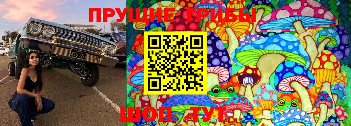 Псилоцибиновые грибы мухоморы Камышлов