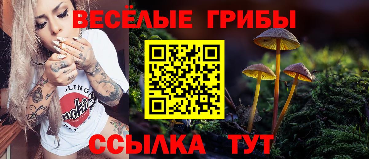 Псилоцибиновые грибы Magic Shrooms  Вход с VPN  Камышлов 